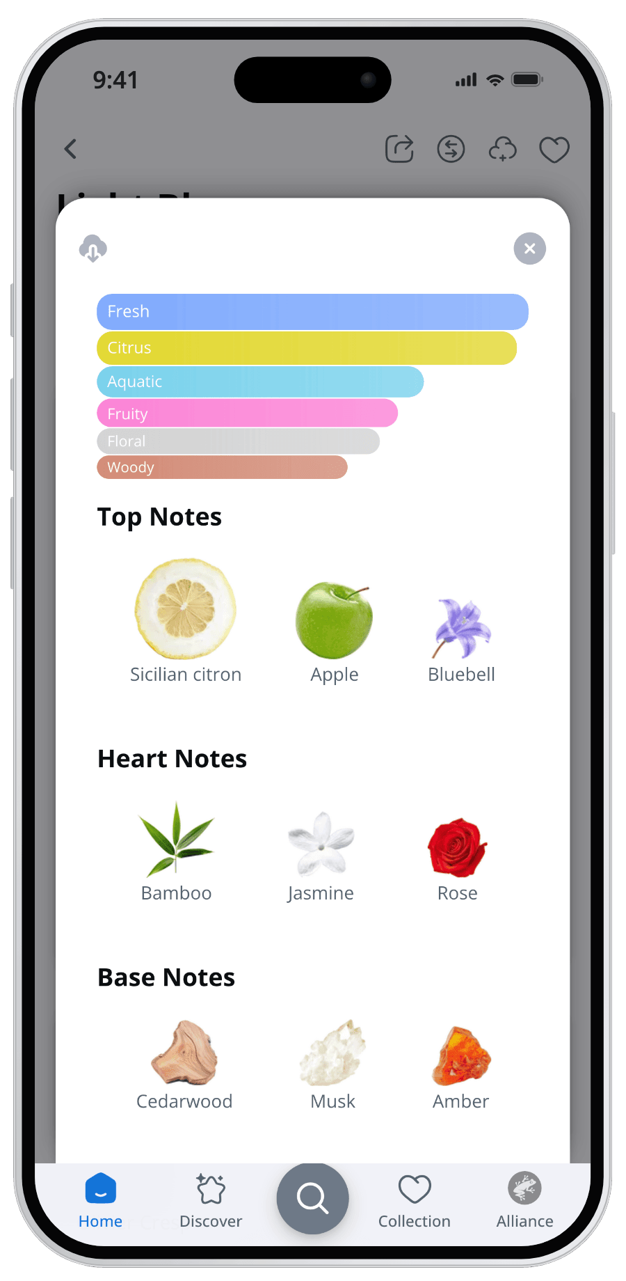 Parfumo App Smell & Feel sheet with scent character and fragrance notes